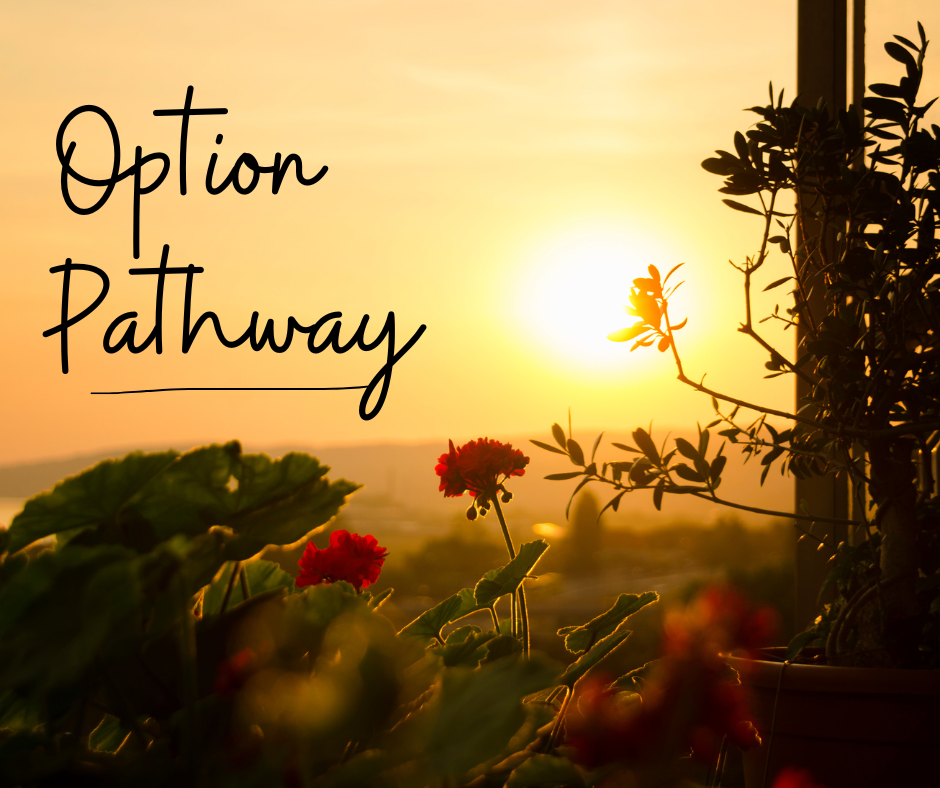 Option Pathway Fall 2024